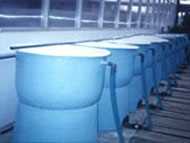 �u�x������